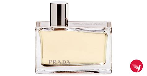 what perfume is similar to prada amber|prada amber perfume discontinued.